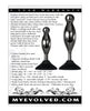 Load image into Gallery viewer, Evolved Joy Sticks 2 pc Plug Set - Black/Chrome