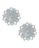 Bild in den Galerie-Viewer laden, Neva Nude Ice Crystal Jewel Reusuable Silicone Nipple Pasties - Clear O/S