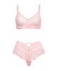 Bild in den Galerie-Viewer laden, Leyla Unterwäsche-Set für Damen mit Spitzen-Netzstoff-BH mit Bügeln und Slip, pink