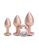 Afbeelding laden in Galerijviewer, Rear Assets 3-delige verchroomde anale trainingsset in champagnekleur