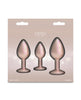 Afbeelding laden in Galerijviewer, Rear Assets 3-delige verchroomde anale trainingsset in champagnekleur