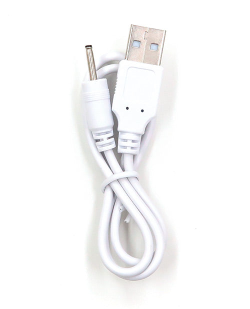 Load image into Gallery viewer, VeDO USB Charger - Group A White