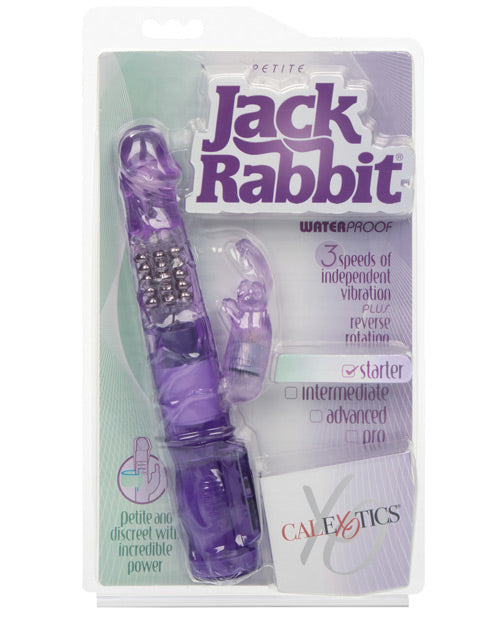Load image into Gallery viewer, Jack Rabbit Petite - Purple