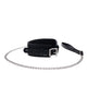 Załaduj obraz do przeglądarki galerii, Edge Collar & Leash - Black