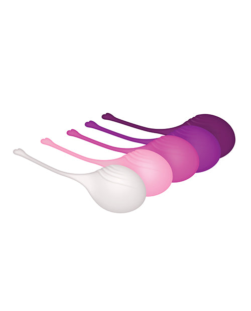 Load image into Gallery viewer, Evolved Tight & Delight 5 pc Weighted Kegel Ball Set - Assorted Colors
