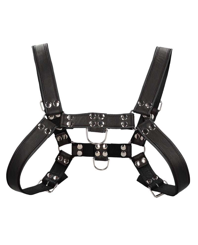 Încărcați imaginea în vizualizatorul Galerie, Shots Uomo Chest Bulldog Harness Large/XLarge - Black