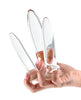 Load image into Gallery viewer, Crystal Anal Trainer Kit - Clear 3 pc Set