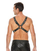 Cargue la imagen en el visor de la galería, Shots Ouch Men's Large Buckle Harness - Black