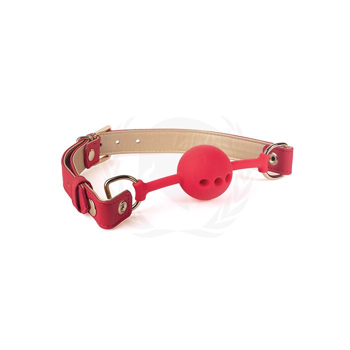 Load image into Gallery viewer, Spartacus Silicone Ball Gag w/Red Gold PU Straps - 46 mm