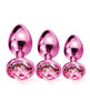Charger l'image dans la visionneuse de la galerie, Ensemble d'entraîneur plug anal en métal Nixie avec bijou incrusté - Métallique rose