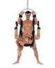 Load image into Gallery viewer, WhipSmart Bondage Pleasure Swing - Black