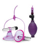 Bild in den Galerie-Viewer laden, Lux Fetish Vibrating Nipple Suckers w/Quick Release - Pink/Purple