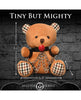 Load image into Gallery viewer, Master Series Gagged Teddy Bear Plush