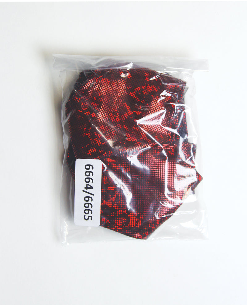 Charger l'image dans la visionneuse de la galerie, Shimmer Tie Back Tube Top w/Cheeky Panty 2 pc Set - Red O/S