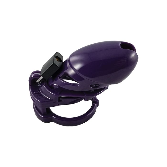 Indlæs billede i gallerifremviser, Locked In Lust The Vice Plus - Purple