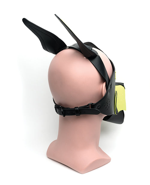 Load image into Gallery viewer, 665 Playful Pup Hood - O/S Black/Yellow