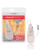 Load image into Gallery viewer, Pocket Exotics Heated Whisper Bullet - Silver