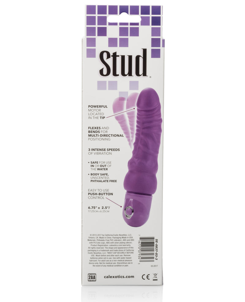 Lataa kuva gallerian katseluohjelmaan, Bendie Power Stud Curvy - Purple