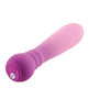 Bild in den Galerie-Viewer laden, Femme Funn Anniversary Ultra Bullet Massager - Orchid