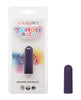 Charger l'image dans la visionneuse de la galerie, Turbo Buzz Rounded Mini Bullet Stimulator - Purple