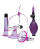 Bild in den Galerie-Viewer laden, Lux Fetish Vibrating Nipple Suckers w/Clitoral Pump & Quick Release - Pink/Purple