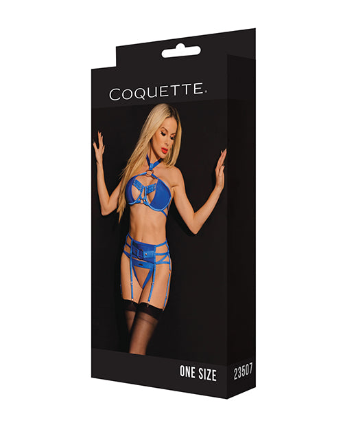 Bild in den Galerie-Viewer laden, Black Label Underwire Bra w/Choker, Garterbelt & G-String Blue O/S