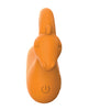 Load image into Gallery viewer, Zodiac Capricorn Mini Vibe - Orange