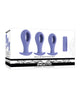 Ladda bilden i Galleri Viewer, Evolved Hole Punch Anal Plug Set - Purple Set of 3