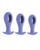 Ladda bilden i Galleri Viewer, Evolved Hole Punch Anal Plug Set - Purple Set of 3
