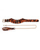Charger l'image dans la visionneuse de la galerie, Sincerely Amber Collar & Leash
