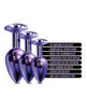 Load image into Gallery viewer, Nixie Metal Butt Plug Trainer Set w/Inlaid Jewel - Purple Metallic