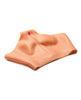 Load image into Gallery viewer, Master Series Pussy Panties - Medium