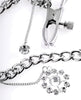 Load image into Gallery viewer, Fetish Fantasy Series Crystal Nipple Clamps