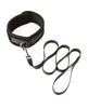 Charger l'image dans la visionneuse de la galerie, Sei Mio Take the Lead Padded Neck Collar & Leash - Black