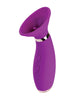 Load image into Gallery viewer, Seduction Suction Clitoral Stimulator
