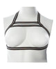 Load image into Gallery viewer, Gender Fluid Silver Lining Harness - S-L Black/Silver
