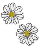 Lataa kuva gallerian katseluohjelmaan, Pastease Wildflower - White/Yellow O/S

