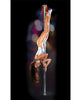 Load image into Gallery viewer, Fetish Fantasy Series Fantasy Dance Pole
