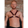 Load image into Gallery viewer, Rouge Chest Harness Large - Black/Red
