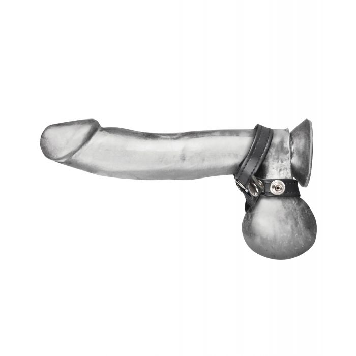 Blue Line C&B 8 Style Ball Divider