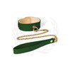 Load image into Gallery viewer, Spartacus Plush Lined PU Collar &amp; Chained Leash - Green
