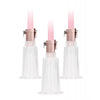 Load image into Gallery viewer, Shots Pumped Clitoral &amp; Nipple Pump Set - Medium Rose Gold
