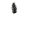Load image into Gallery viewer, Sportsheets Body Tickler Ostrich Feather - Black
