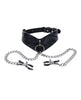 Load image into Gallery viewer, Sportsheets Velvet Noir Collar &amp; Removable Clamps - Black
