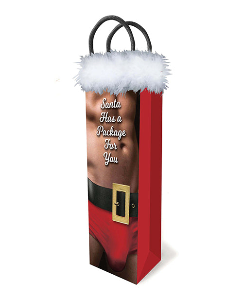 Santa Has A Big Package Gift Bag Naughty Wine Sized Luxury Gift Bag