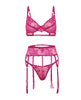 Load image into Gallery viewer, Julia Sheer Lace And Mesh 3 Piece Bra Set Rose Large
