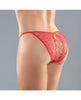 Charger l'image dans la visionneuse de la galerie, Adore Lace Enchanted Belle Panty Red O/S
