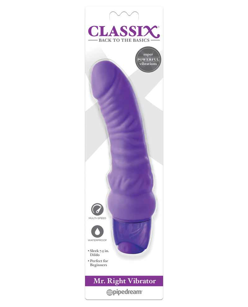 Încărcați imaginea în vizualizatorul Galerie, Vibrator Classix Mr. Right - Violet
