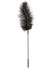 Load image into Gallery viewer, Sportsheets Body Tickler Ostrich Feather - Black
