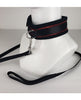 Load image into Gallery viewer, Spartacus Collar &amp; Leash - Neoprene Red
